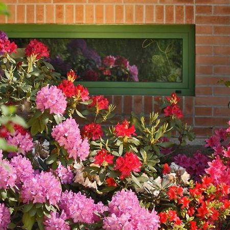 Villa Delle Ortensie Tavagnacco Kültér fotó
